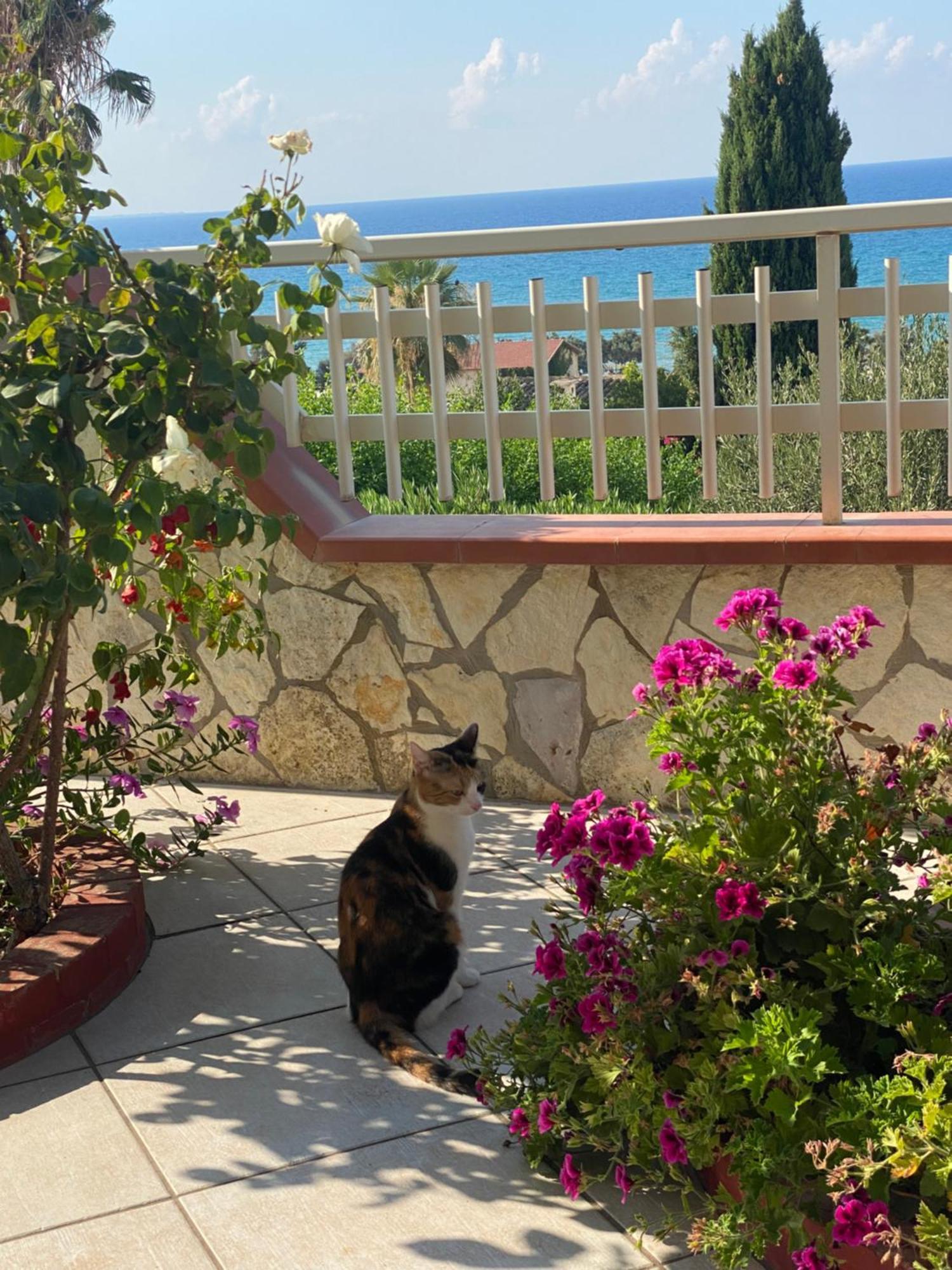 Villa Mare Giuggiola Alcamo Marina Εξωτερικό φωτογραφία