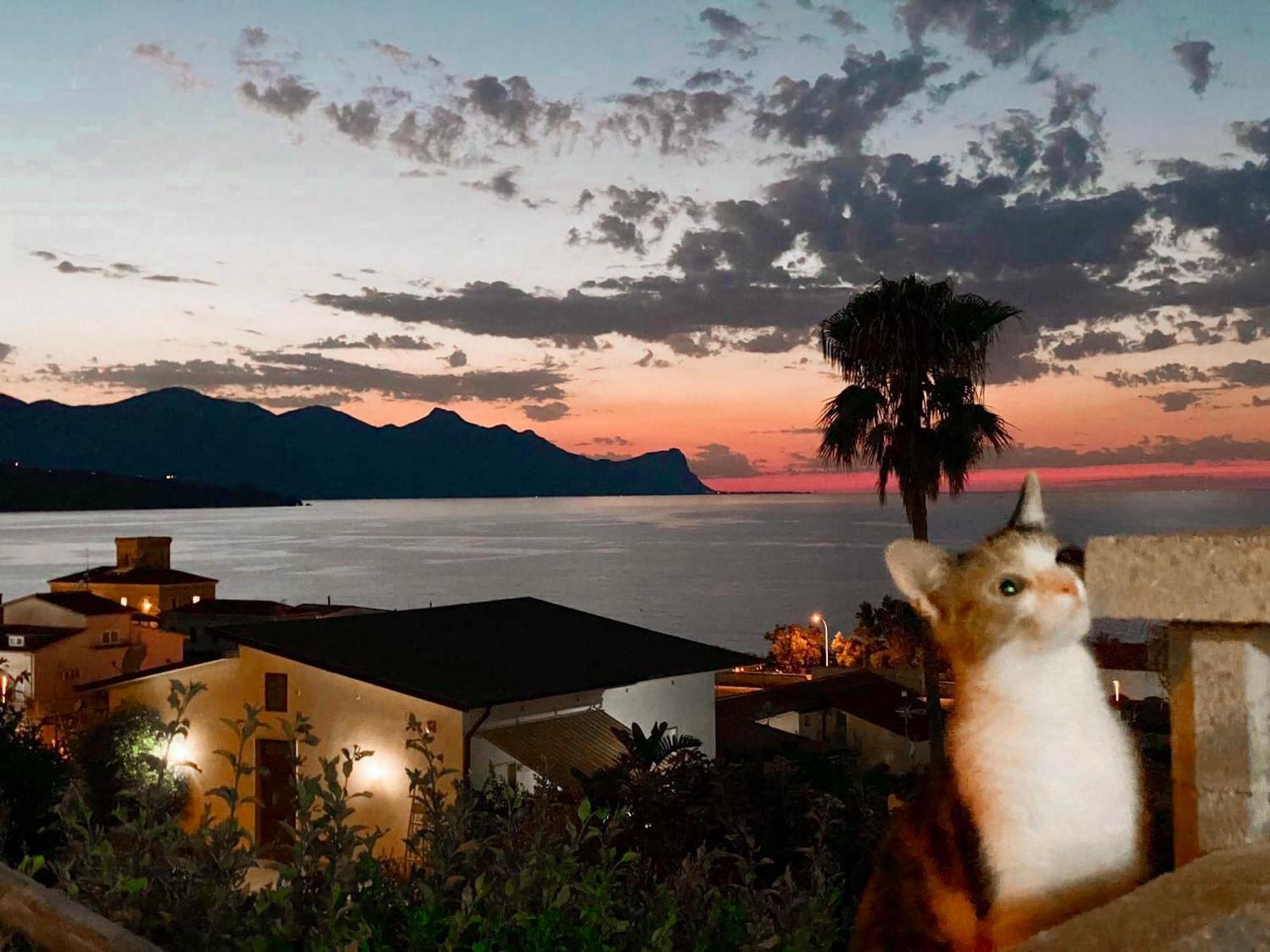 Villa Mare Giuggiola Alcamo Marina Εξωτερικό φωτογραφία